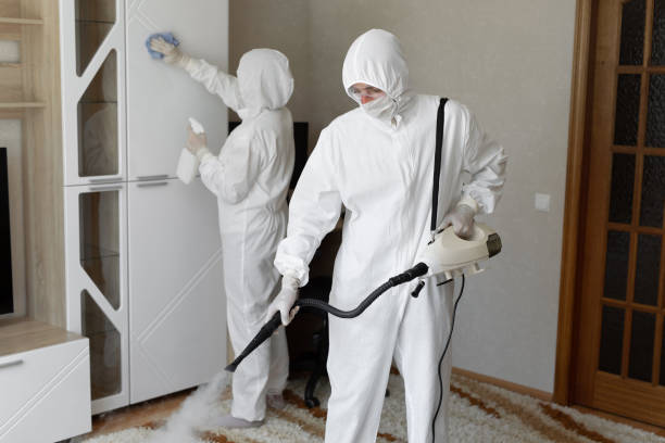 Asbestos and Lead Testing During Mold Inspection in Oriole Beach, FL